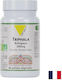 Vit'All+ Трифала Био 300 mg 2,1 g 60 Капсули