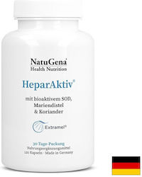 NatuGena Heparaktiv 140 IU 10 mg 120 Капсули NatuGena Heparaktiv 140 IU 10 mg 120 Капсули