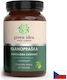 Green Idea Шизандра 100 mg 60 капсули