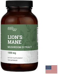 Earth Harmony Лъвска грива 500 mg 120 капсули Earth Harmony Лъвска грива 500 mg 120 капсули