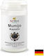 Karl Minck Мумийо 200 mg 60 Капсули