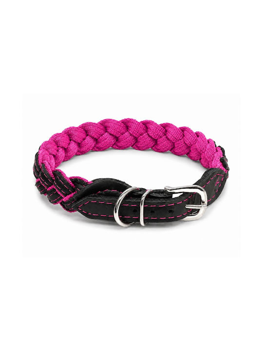 Barryking Flamingo Force Collar – Pink 30mm/45cm