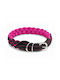 Barryking Flamingo Force Collar – Pink 30mm/45cm
