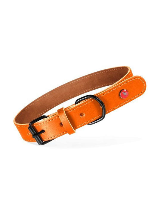 Zolux Classic Leather Dog Collar 35 Cm/14 Mm Orange?