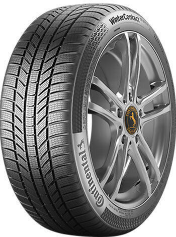 265/40R21 105TT XL Winter Autoreifen