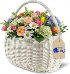 Creative Home Wicker Picnic Basket Handle Shopping White 42 × 32 × 40 Cm +/−1 Cm Large Lightweight Handwoven Natural Brown Versatile Durable Creative Home Wicker Picnic Basket Handle Shopping White 42 × 32 × 40 Cm +/−1 Cm Large Lightweight Handwoven Natural Brown Versatile Durable