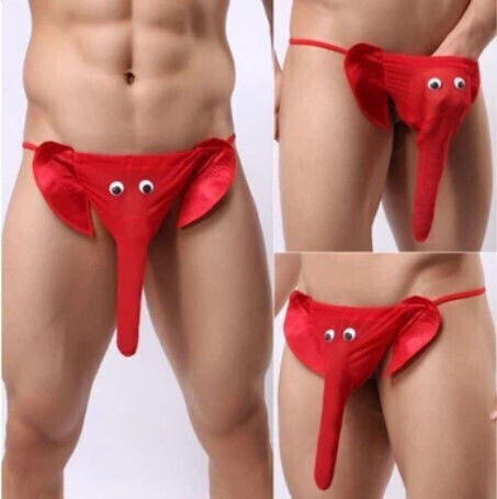 Roza Underwear Men's Sexy Red String