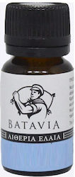 Batavia Rosemary Oil Δεντρολίβανο 9ml Συμβατικό Batavia Rosemary Oil Δεντρολίβανο 9ml Συμβατικό