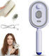 Electric Steam Hair Brush