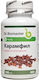 Dr. Biomaster Карамфил 400 mg 100 капсули Карамфил