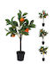 JK Home Décor Topfpflanze 30 x 60 cm 3 Designs