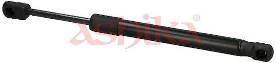 Trunk Shock-BMW 1 F20 114 D 12 Zsa01046
