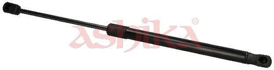 Fiat Punto 199 Trunk Shock All 05> Ashika Zsa02038
