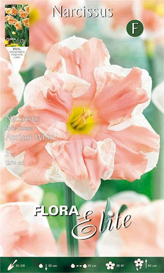 Flora Elite Βολβoί Νάρκισσου