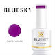 Gel UV pentru Unghii Purple Pleasure N28 15 ml