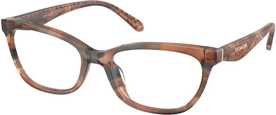 Hc6307u 5965 Watercolor Pecan Rame de Ochelari de Vedere