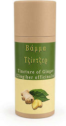 Ginger Tincture 50ml Ginger Ginger Tincture 50ml Ginger