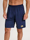 Sportliche Herren-Shorts Blau