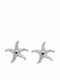 Women's Silver Stainless Steel Starfish Earrings