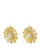 Gold Stainless Steel Stud Earrings