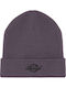 Summerdale Beanie Men's Knitted Beanie in Purple