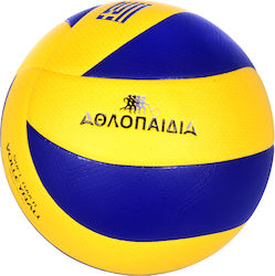 Athlopaidia Volleyball Größe 5 009.50067