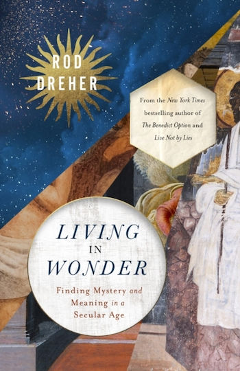 Living In Wonder - Hodder & Stoughton - Paperback / Softback Living In Wonder - Hodder & Stoughton - Paperback / Softback