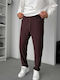Men's Trousers Regular Fit Brown