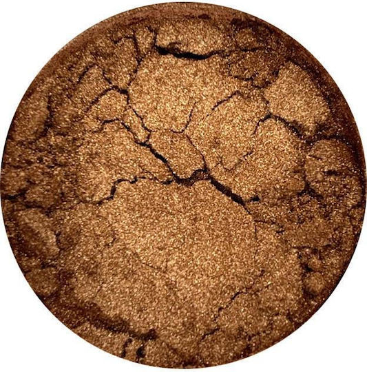 Powertex 10 g Metallic Pigment Powder Colortricx Bronze Gold