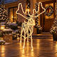 Warm White Christmas Tube Light 1m
