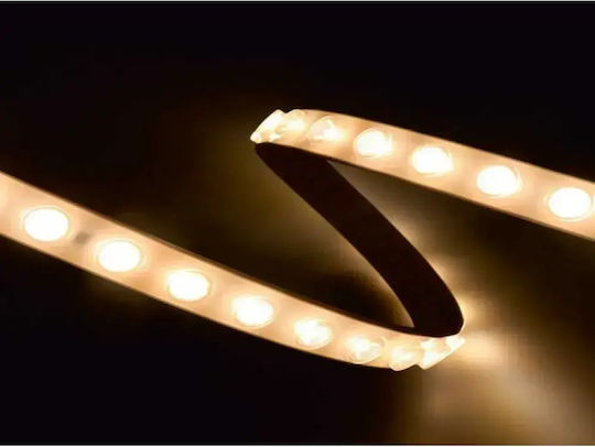 Cubalux Waterproof LED Strip 24V 1m