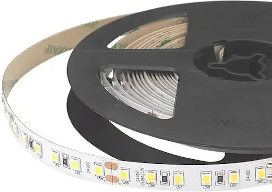 Cubalux 24V LED Strip Natural White Light