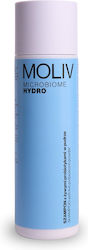 Moliv Microbiome Hydro Dry Shampoo for Itching 120gr Moliv Microbiome Hydro Dry Shampoo for Itching 120gr