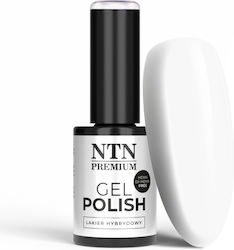 NTN Premium Semi-Permanent Nail Polish No. 01 White 5gr