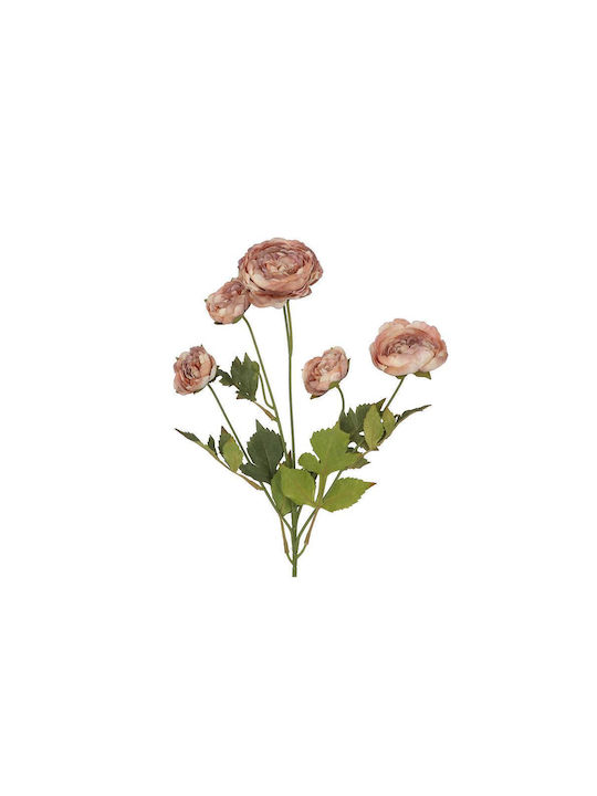 Ramură de Ranunculus cu 5 Flori, Maro de Toamnă...