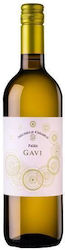 Michele Chiarlo Wein Palas Cortese Weiß Trocken 750 ml Michele Chiarlo Wein Palas Cortese Weiß Trocken 750 ml