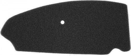 Malaguti F-18 Warrior 125-150 Air Filter Rms 100601201