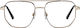 Follen Optik Sv583002/54-17-145