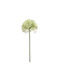 Floare artificială 62 cm Emerald Allium Cream Green 423780