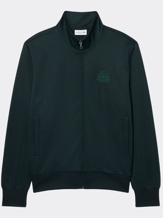 Lacoste Lacoste