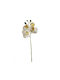 Floare artificială 56 cm Emerald Phalaenopsis Alb 418525
