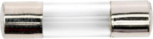 Schnelle Feinsicherung 5 × 20 mm 100 mA