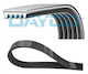 Dayco 5pk1960s Ribbed V-belt